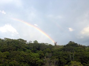 If you look closer, you can see the double rainbow!
